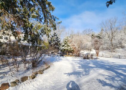 Welcome the 2025 Christmas Season