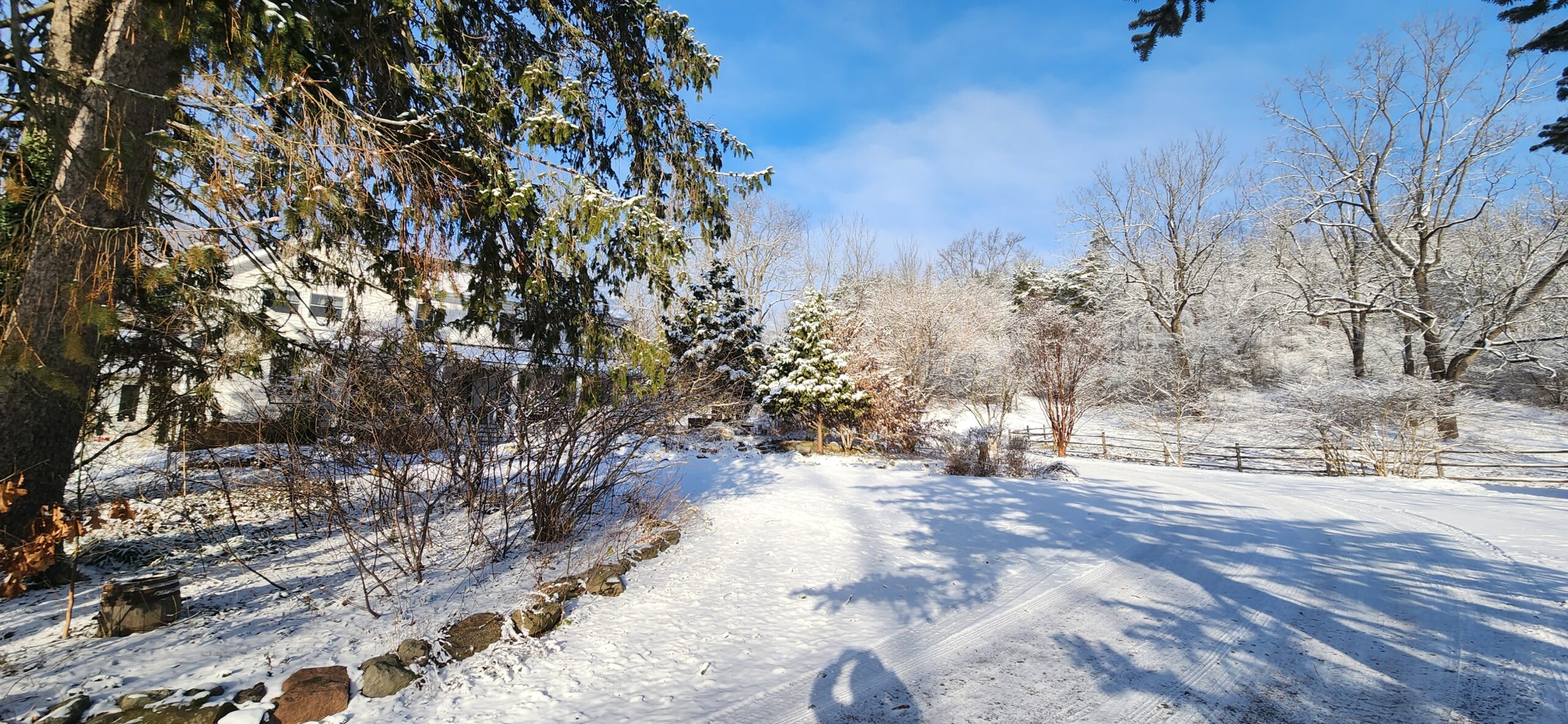 Welcome the 2025 Christmas Season